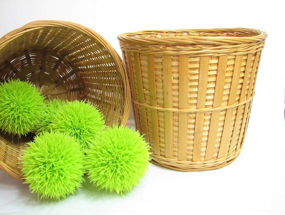 Suppliers of Cane Fruits Pot